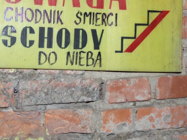 dscf5636.jpg