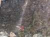 dscf5665_small.jpg