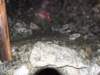 dscf5667_small.jpg