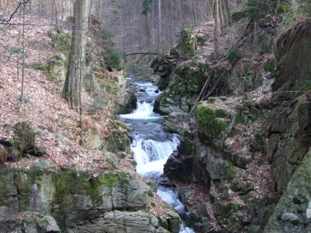 zielonaszkoaii005.jpg