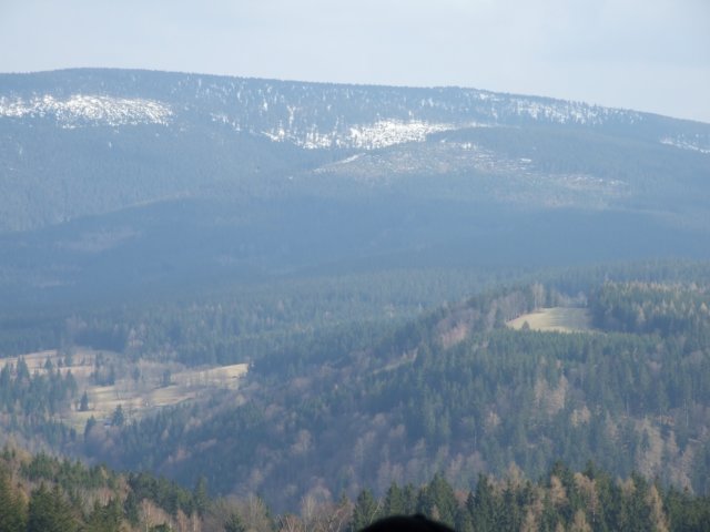 zielonaszkoaii039.jpg