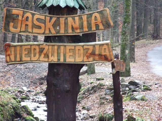 zielonaszkoaii136.jpg