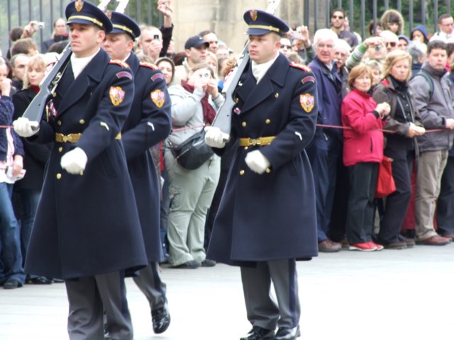 zielonaszkoaii208.jpg