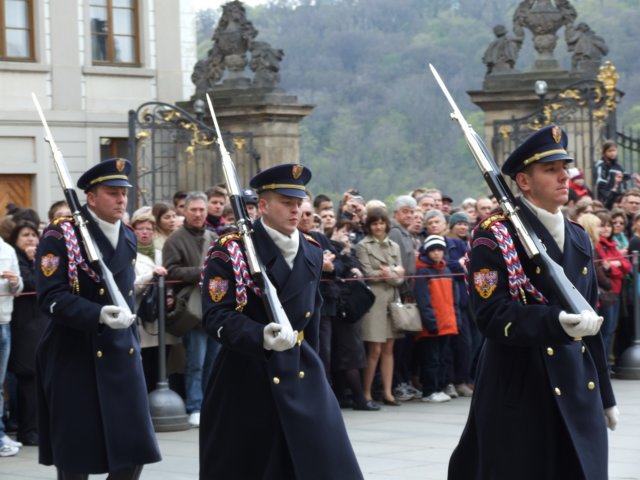 zielonaszkoaii209.jpg