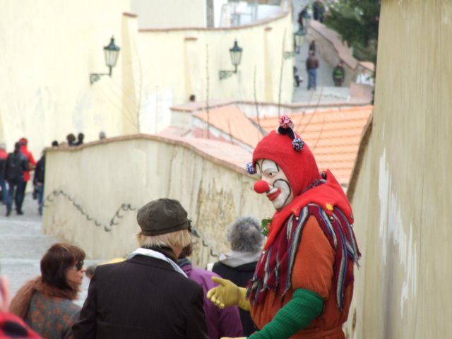 zielonaszkoaii217.jpg