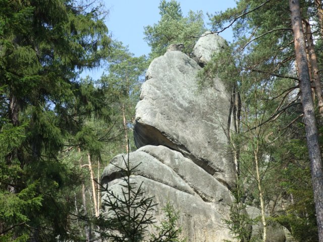 zielonaszkoaii343.jpg