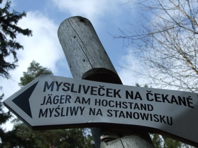 zielonaszkoaii355.jpg