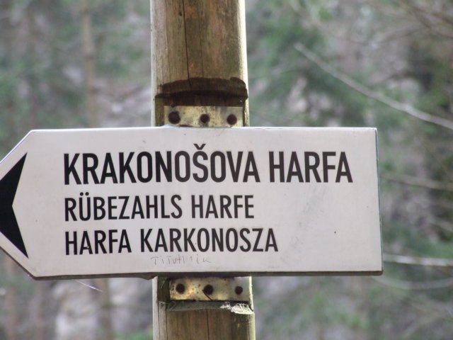 zielonaszkoaii360.jpg