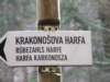 zielonaszkoaii360_small.jpg