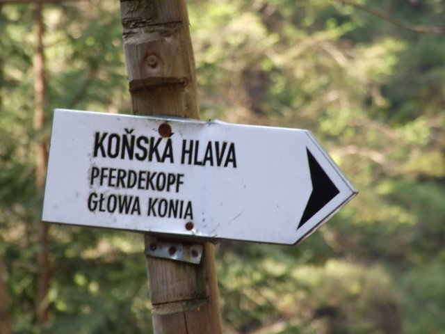 zielonaszkoaii362.jpg