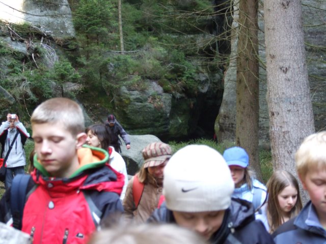 zielonaszkoaii383.jpg