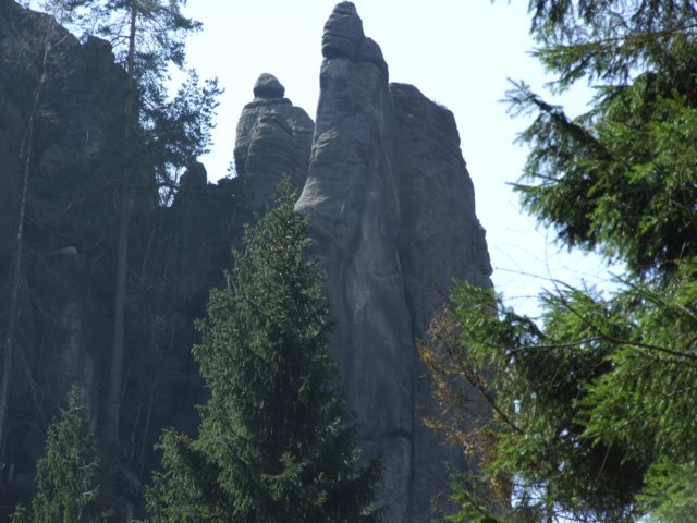 zielonaszkoaii385.jpg
