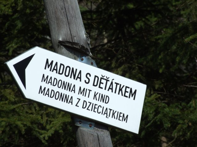 zielonaszkoaii396.jpg