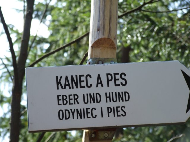 zielonaszkoaii398.jpg