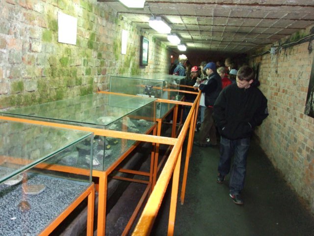 zielonaszkoaii463.jpg