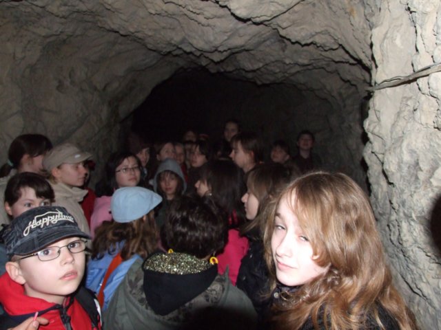 zielonaszkoaii474.jpg