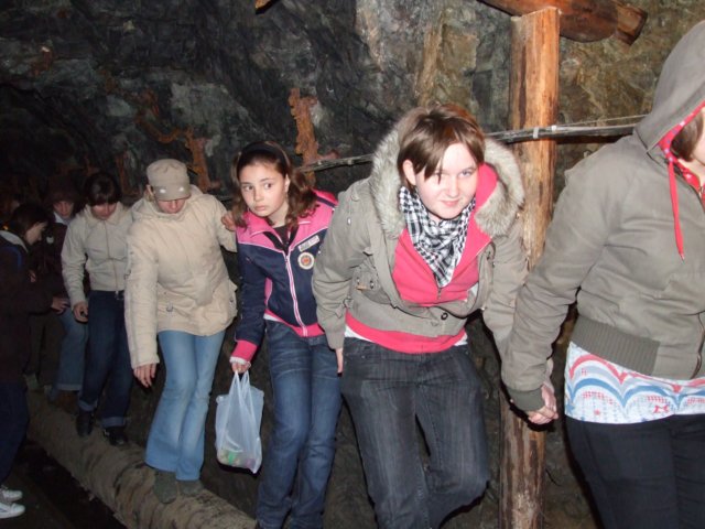 zielonaszkoaii500.jpg