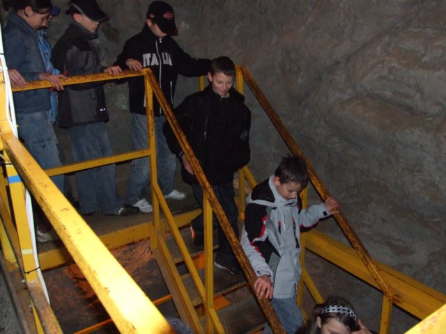 zielonaszkoaii503.jpg
