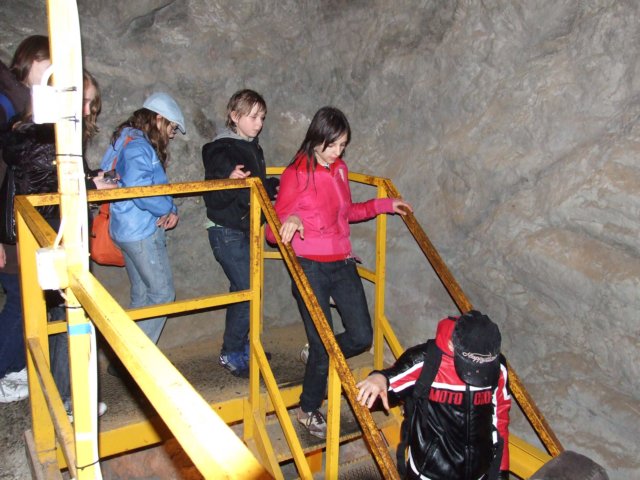 zielonaszkoaii512.jpg