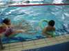 basen086_small.jpg