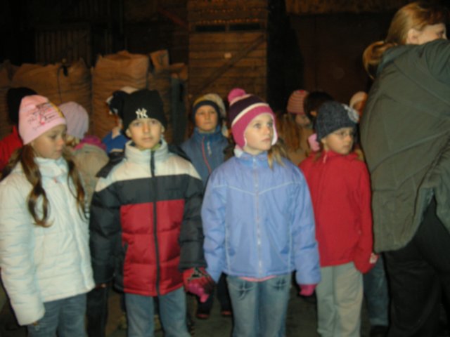 wrzesie2009523.jpg