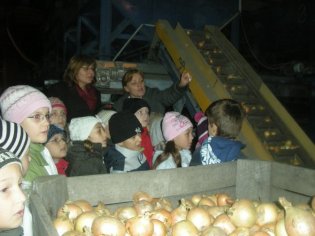 wrzesie2009536.jpg