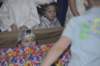 jaseka200977_small.jpg