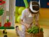 dsc02594_small.jpg