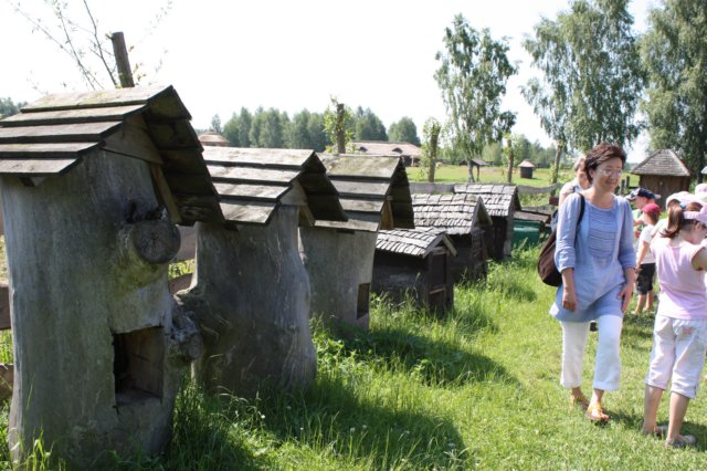 kawczynklic2010102.jpg