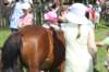 kawczynklic2010138_small.jpg