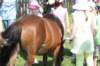 kawczynklic2010139_small.jpg