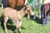 kawczynklic2010141_small.jpg