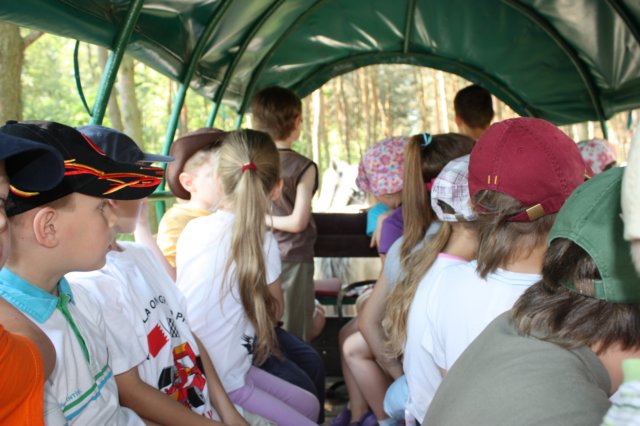 kawczynklic201024.jpg