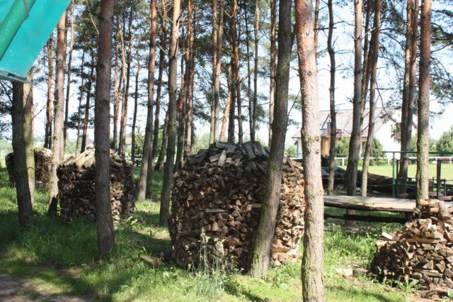 kawczynklic201025.jpg