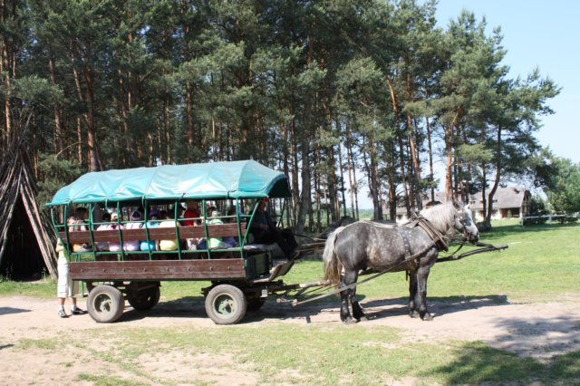 kawczynklic201034.jpg