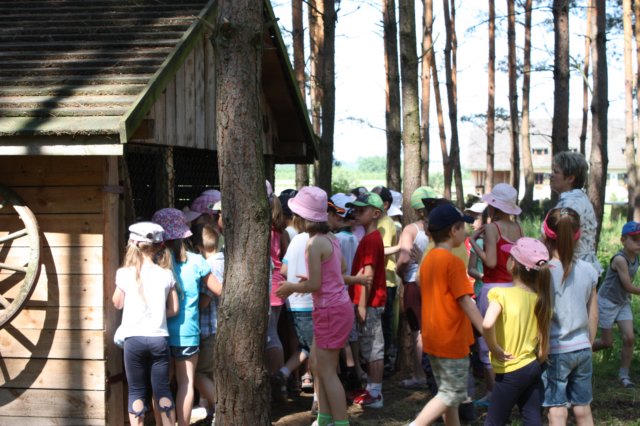 kawczynklic201091.jpg