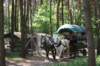 kawczynklic201094_small.jpg