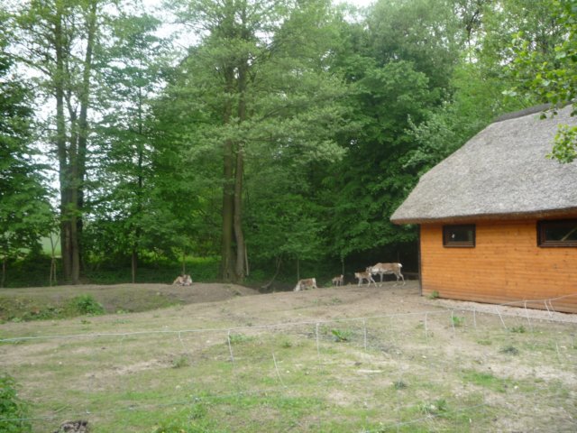 koacinek27v2010106.jpg