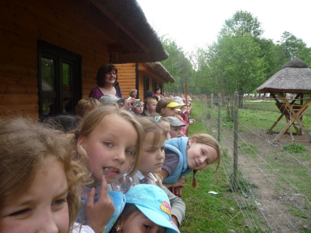 koacinek27v2010107.jpg