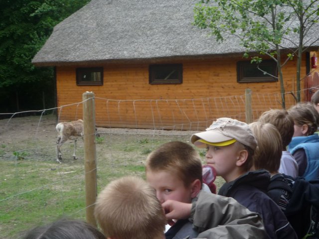 koacinek27v2010115.jpg
