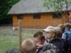 koacinek27v2010115_small.jpg