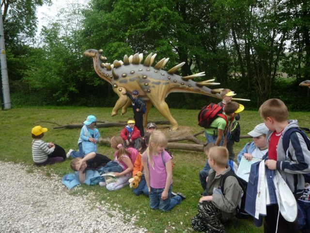 koacinek27v2010140.jpg