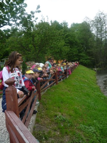 koacinek27v2010147.jpg