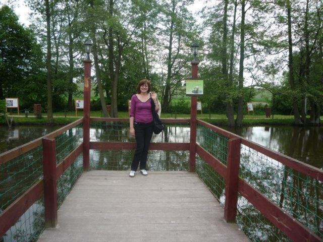 koacinek27v2010149.jpg