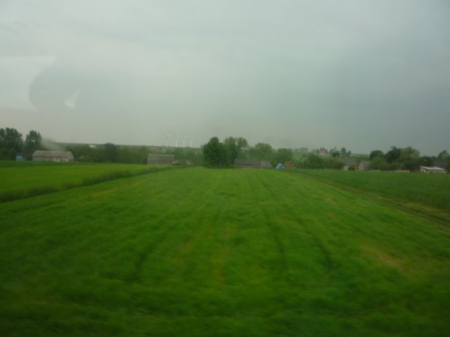 koacinek27v2010174.jpg