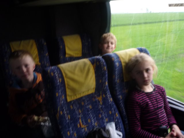 koacinek27v2010177.jpg