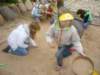 koacinek27v201051_small.jpg