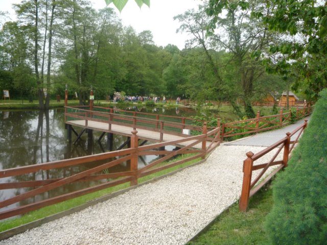koacinek27v201059.jpg