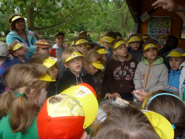 koacinek27v201062.jpg