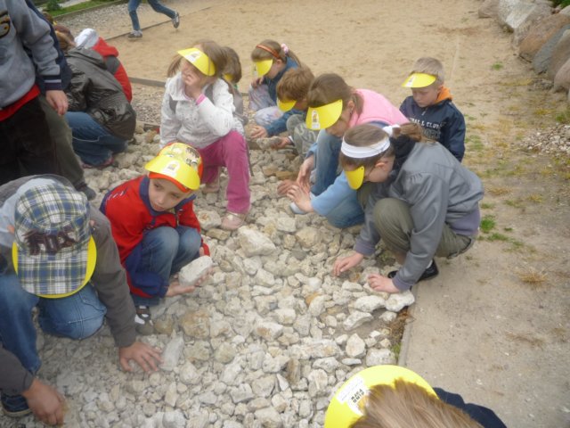 koacinek27v201064.jpg